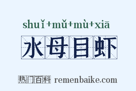 水母目虾是什么意思的图片